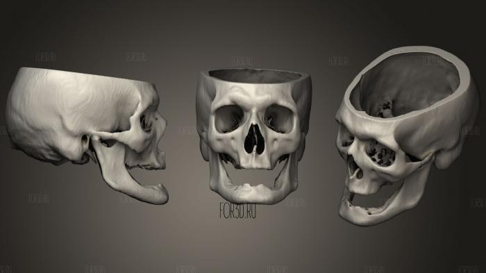Skull Male 69yo stl model for CNC